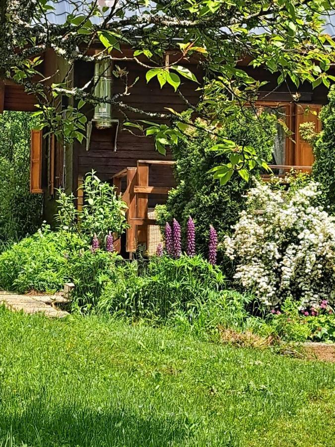 House Poljana Villa Plitvicka Jezera Exterior photo